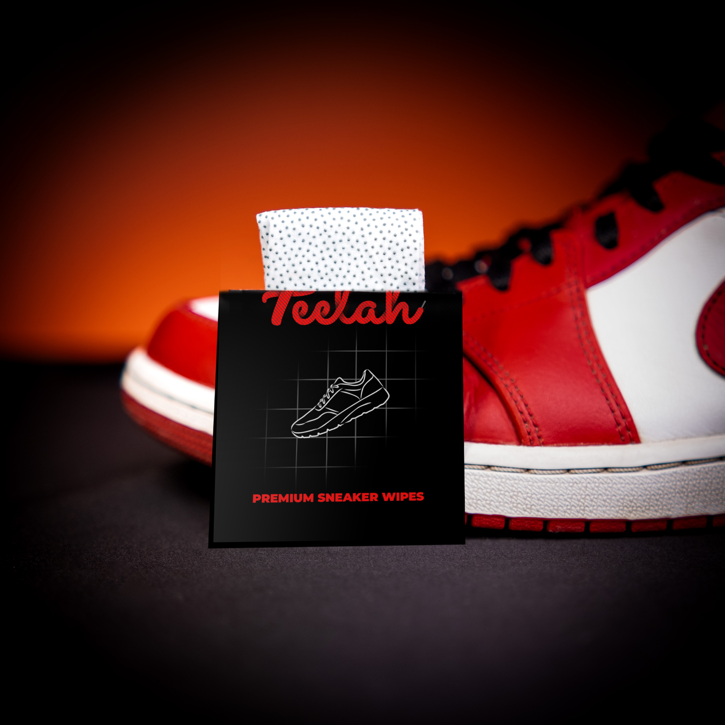 Sneaker Wipes + Crease Protector