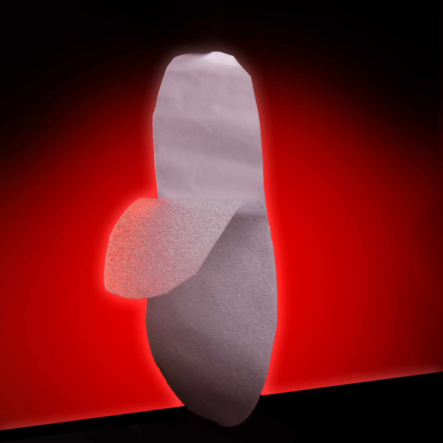 Sneaker Sole Protector + Wipes